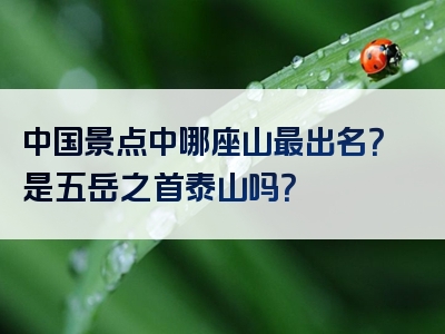 中国景点中哪座山最出名？是五岳之首泰山吗？