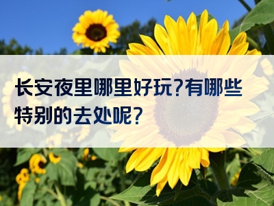 长安夜里哪里好玩？有哪些特别的去处呢？