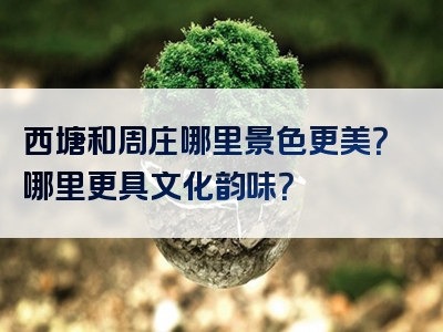 西塘和周庄哪里景色更美？哪里更具文化韵味？