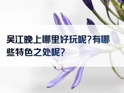 吴江晚上哪里好玩呢？有哪些特色之处呢？