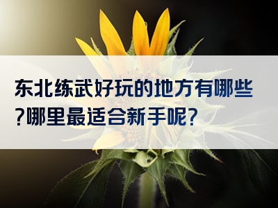 东北练武好玩的地方有哪些？哪里最适合新手呢？