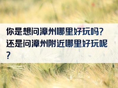 你是想问漳州哪里好玩吗？还是问漳州附近哪里好玩呢？