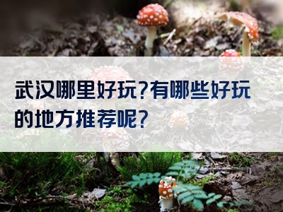 武汉哪里好玩？有哪些好玩的地方推荐呢？