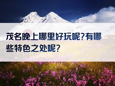 茂名晚上哪里好玩呢？有哪些特色之处呢？