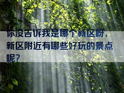 你没告诉我是哪个新区呀，新区附近有哪些好玩的景点呢？