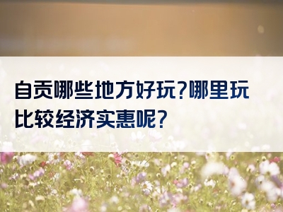 自贡哪些地方好玩？哪里玩比较经济实惠呢？