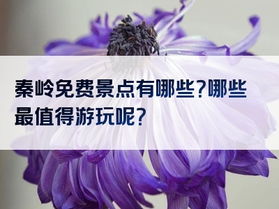 秦岭免费景点有哪些？哪些最值得游玩呢？