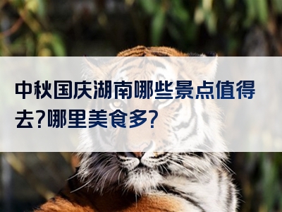 中秋国庆湖南哪些景点值得去？哪里美食多？