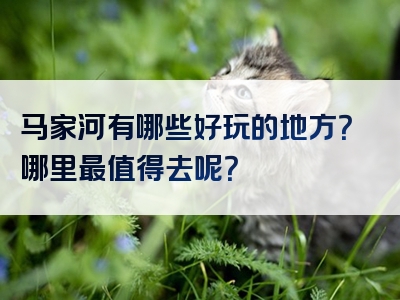 马家河有哪些好玩的地方？哪里最值得去呢？