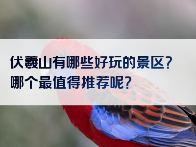伏羲山有哪些好玩的景区？哪个最值得推荐呢？