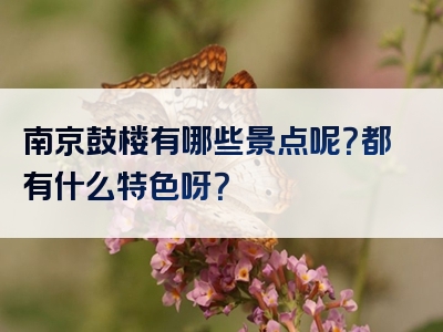 南京鼓楼有哪些景点呢？都有什么特色呀？