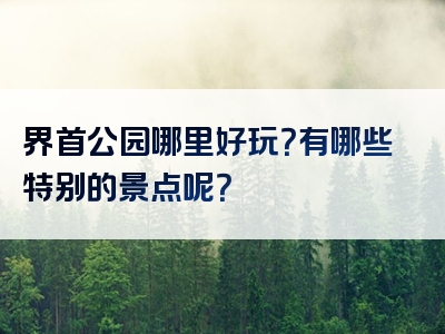 界首公园哪里好玩？有哪些特别的景点呢？