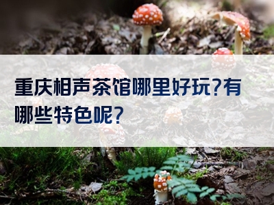 重庆相声茶馆哪里好玩？有哪些特色呢？