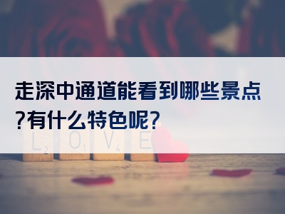 走深中通道能看到哪些景点？有什么特色呢？