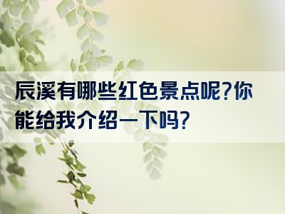辰溪有哪些红色景点呢？你能给我介绍一下吗？