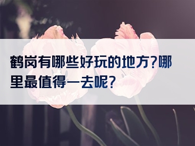 鹤岗有哪些好玩的地方？哪里最值得一去呢？