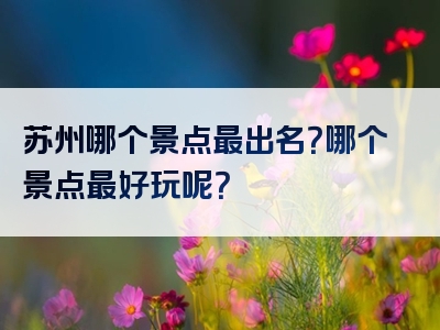 苏州哪个景点最出名？哪个景点最好玩呢？