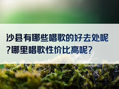 沙县有哪些唱歌的好去处呢？哪里唱歌性价比高呢？
