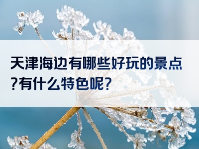 天津海边有哪些好玩的景点？有什么特色呢？