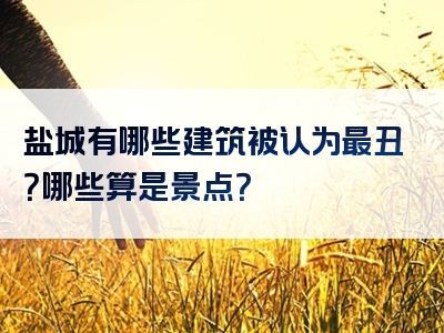 盐城有哪些建筑被认为最丑？哪些算是景点？