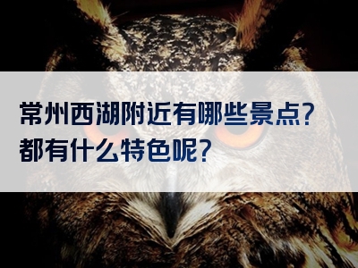 常州西湖附近有哪些景点？都有什么特色呢？