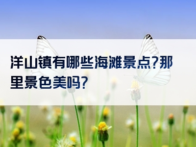 洋山镇有哪些海滩景点？那里景色美吗？