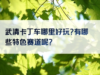 武清卡丁车哪里好玩？有哪些特色赛道呢？