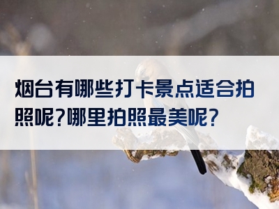 烟台有哪些打卡景点适合拍照呢？哪里拍照最美呢？