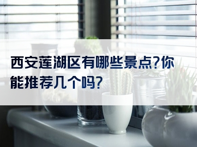 西安莲湖区有哪些景点？你能推荐几个吗？
