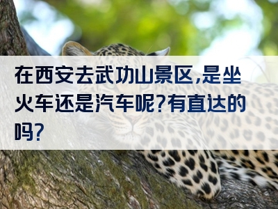 在西安去武功山景区，是坐火车还是汽车呢？有直达的吗？