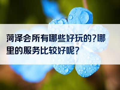 菏泽会所有哪些好玩的？哪里的服务比较好呢？
