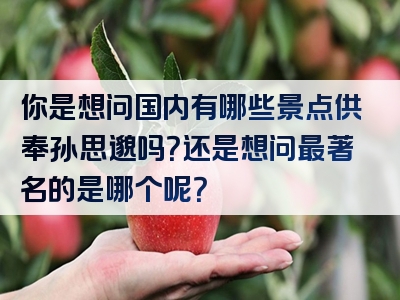 你是想问国内有哪些景点供奉孙思邈吗？还是想问最著名的是哪个呢？