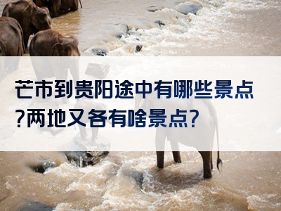 芒市到贵阳途中有哪些景点？两地又各有啥景点？