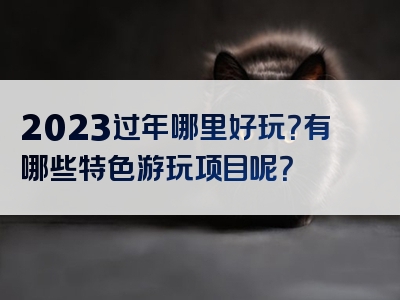 2023过年哪里好玩？有哪些特色游玩项目呢？