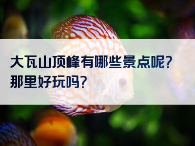 大瓦山顶峰有哪些景点呢？那里好玩吗？