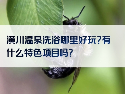 潢川温泉洗浴哪里好玩？有什么特色项目吗？