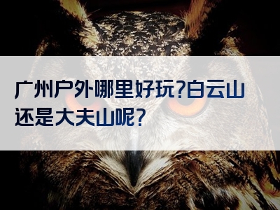 广州户外哪里好玩？白云山还是大夫山呢？