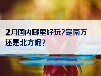 2月国内哪里好玩？是南方还是北方呢？