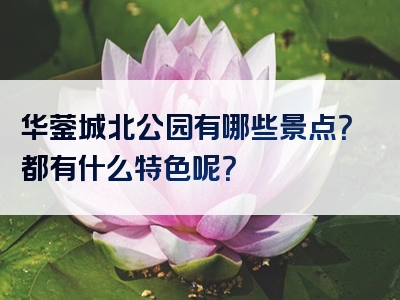 华蓥城北公园有哪些景点？都有什么特色呢？