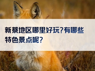 新蔡地区哪里好玩？有哪些特色景点呢？