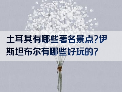 土耳其有哪些著名景点？伊斯坦布尔有哪些好玩的？