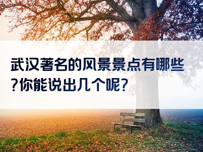 武汉著名的风景景点有哪些？你能说出几个呢？