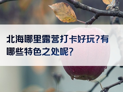 北海哪里露营打卡好玩？有哪些特色之处呢？