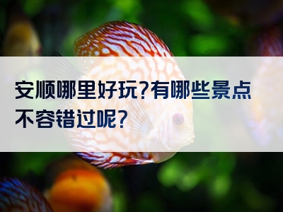 安顺哪里好玩？有哪些景点不容错过呢？