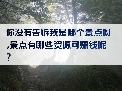 你没有告诉我是哪个景点呀，景点有哪些资源可赚钱呢？