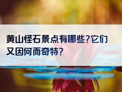 黄山怪石景点有哪些？它们又因何而奇特？