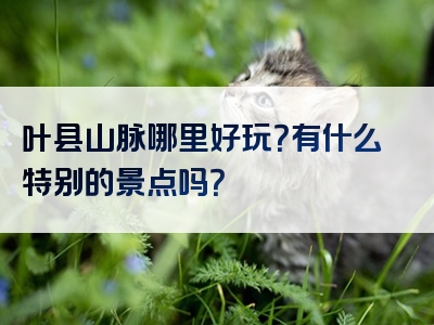叶县山脉哪里好玩？有什么特别的景点吗？
