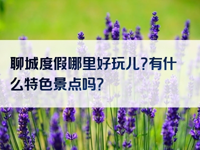 聊城度假哪里好玩儿？有什么特色景点吗？