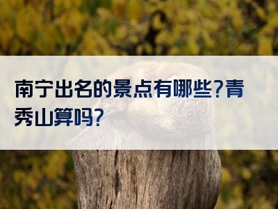 南宁出名的景点有哪些？青秀山算吗？