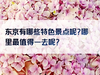 东京有哪些特色景点呢？哪里最值得一去呢？